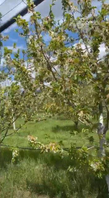  Преслава сподели бизнеса на мъжа си 