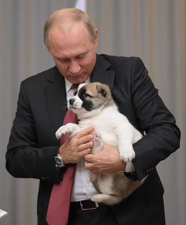 Още едно куче за Путин (ВИДЕО+СНИМКИ)
