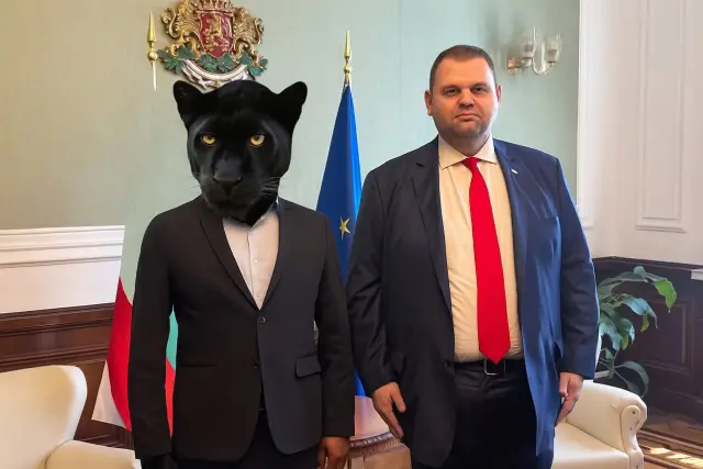 Черната пантера от Шумен въодушеви десетки колажи и мемета (СНИМКИ)