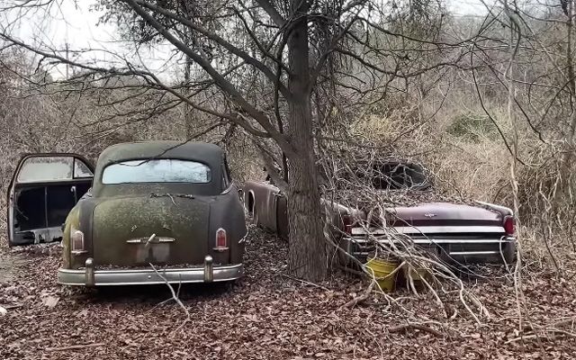 Три редки класически автомобила, намерени в двора на изоставена къща - 3