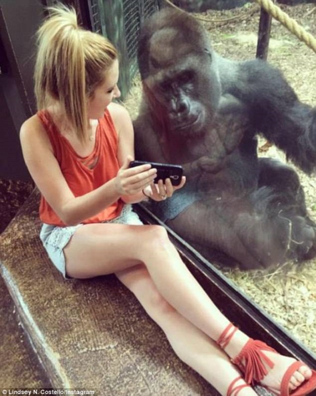 Жена се сприятели с горила в зоопарк