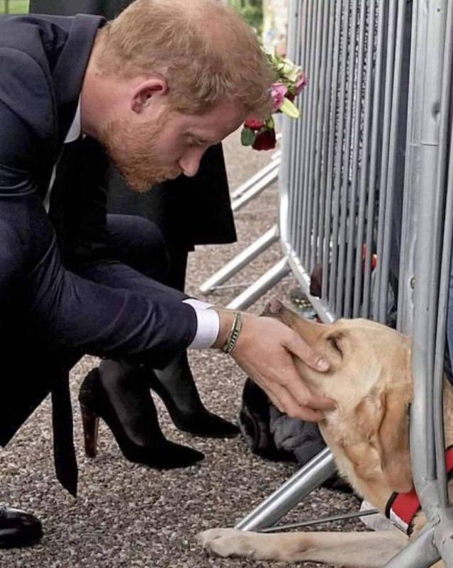 „Кралската четворка“ се събра за пръв път от година: Какво означава това