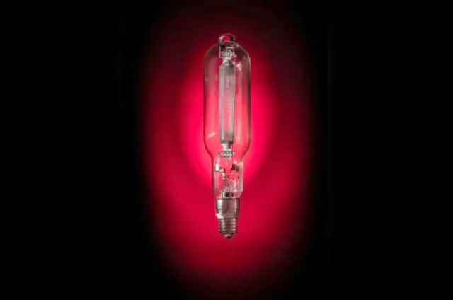 ЦСКА продава крушки за спомен от „ Българска войска “