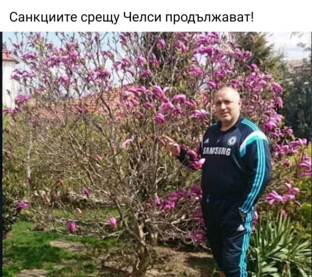 Най-забавните колажи и реакции след ареста на Борисов в социалните мрежи (СНИМКИ) - 4