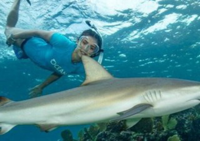 Нина добре плува с ... акули