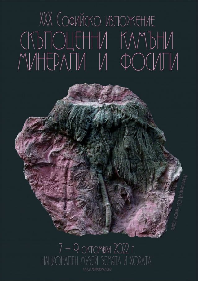 Започва изложение на минерали, фосили и скъпоценни камъни в София