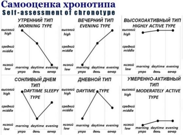  Хората не са единствено сови или чучулиги има и... 