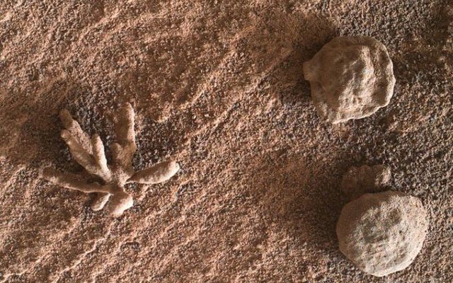 Марсоходът Curiosity откри „каменно цвете“ на Марс