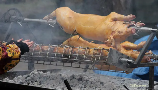 Над 13 000 участници в тазгодишното издание на „Сурва 2026“ (ВИДЕО+СНИМКИ)