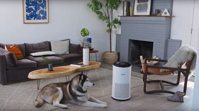  Невероятните преимущества на пречиствателите за въздух 