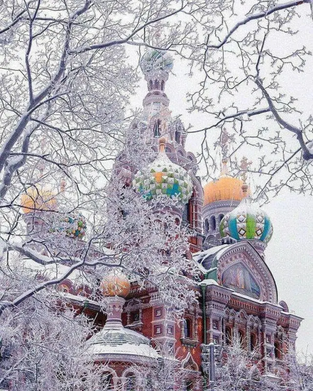 Годишен обзор: Световната шизофрения!