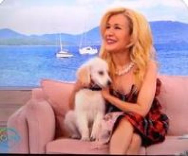  Гала избавя 