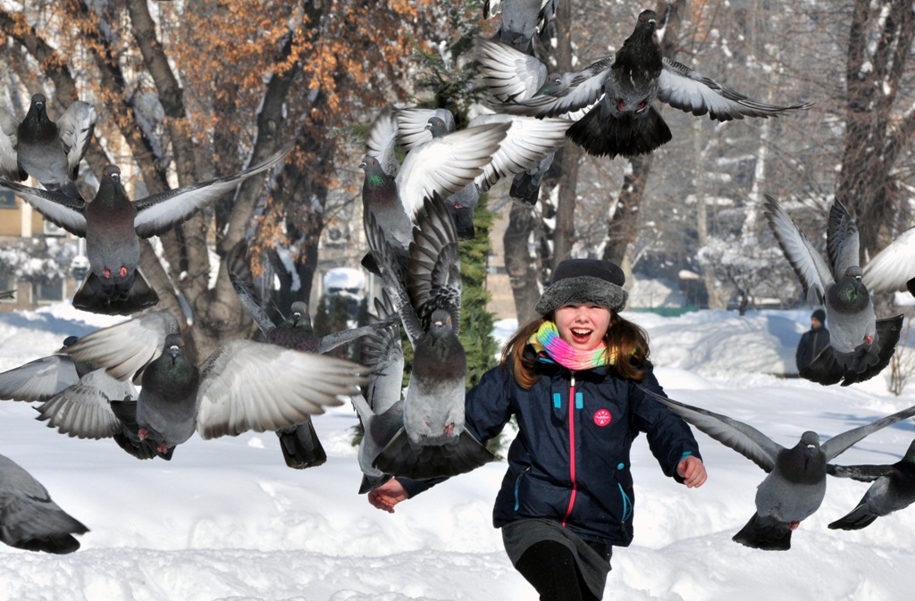 22 януари: България в снимки