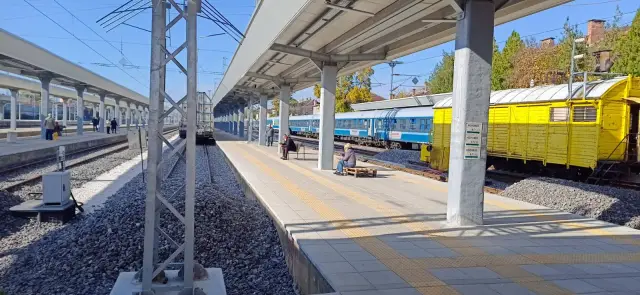  От три дни влакова комбинация от Истанбул Германия е блокирана на жп гара Пловдив СНИМКИ 