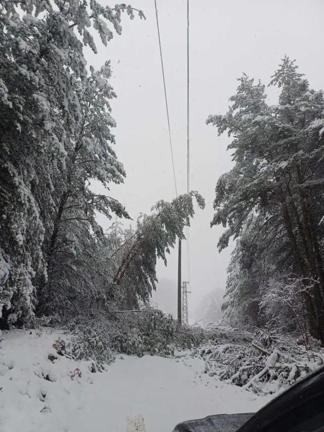 ЕРМ Запад възстановиха електрозахранването на голяма част от засегнатите клиенти след усложнената зимна обстановка