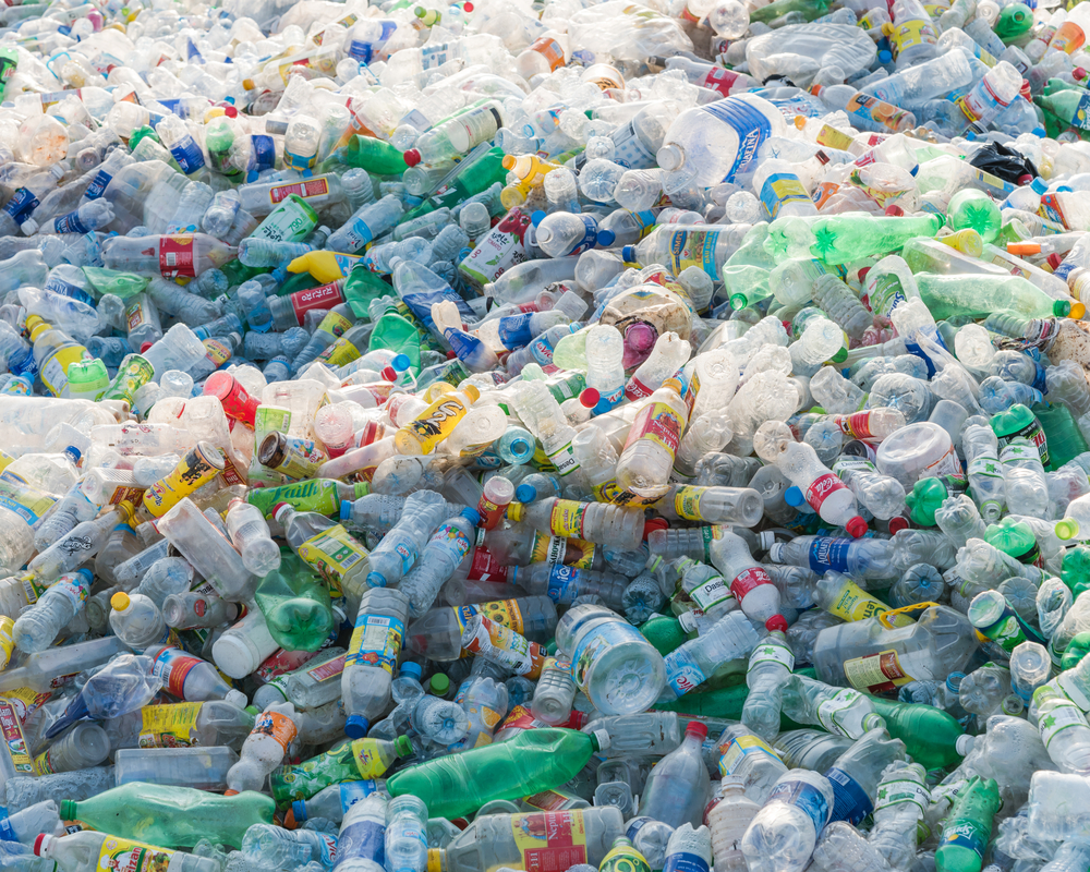 Има кой да изяде глобалния ни проблем с пластмасата