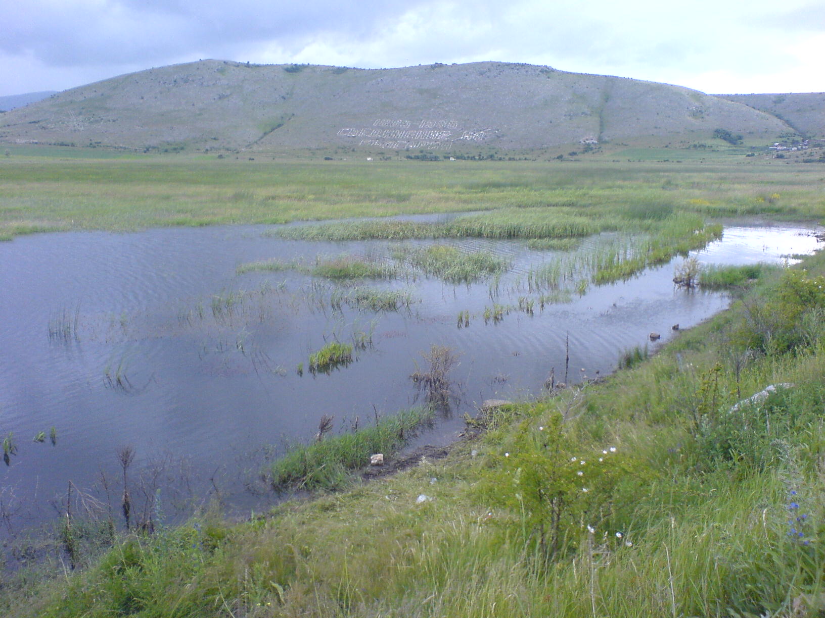 Виюнът и белите чапли се завърнаха в Алдомировското блато