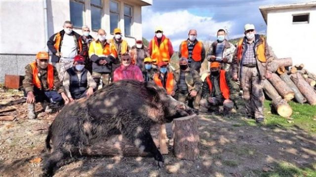 Гръмнаха 310-килограмов звяр в Родопите