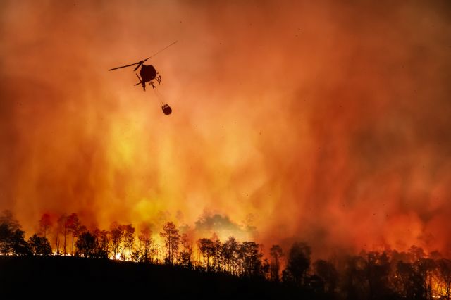 Над 2500 хектара гори са изгорели в Националния парк Дадия в Гърция