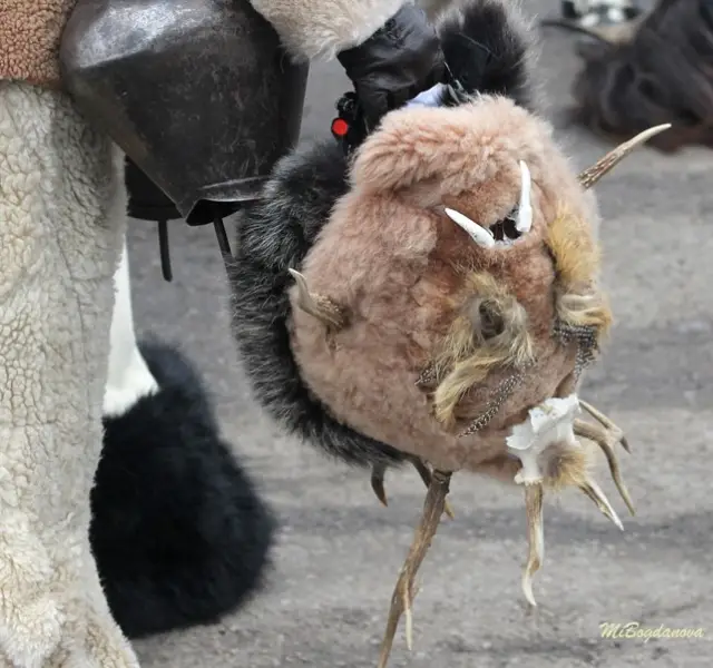 Над 13 000 участници в тазгодишното издание на „Сурва 2026“ (ВИДЕО+СНИМКИ)