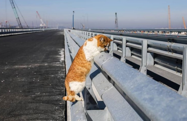 Вижте кой построи моста на Путин