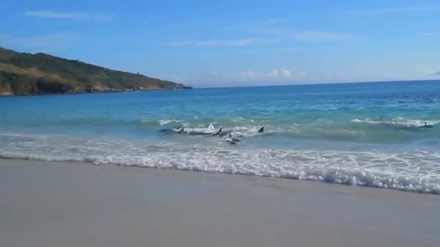  Турист снимаше океана, когато... 