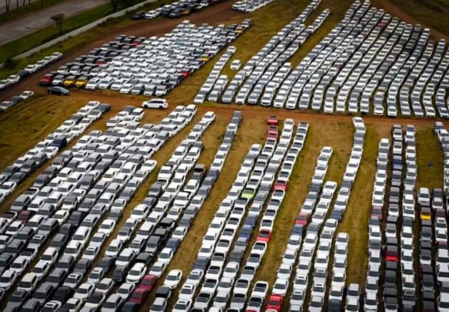 18 хил. коли под наем чакат края на епидемията в тръстиково поле