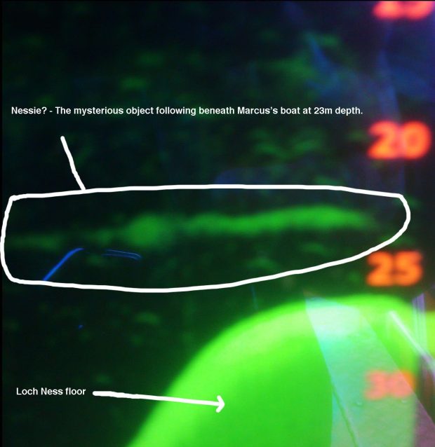 Къде изчезна Неси?