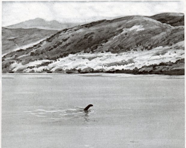 Къде изчезна Неси?