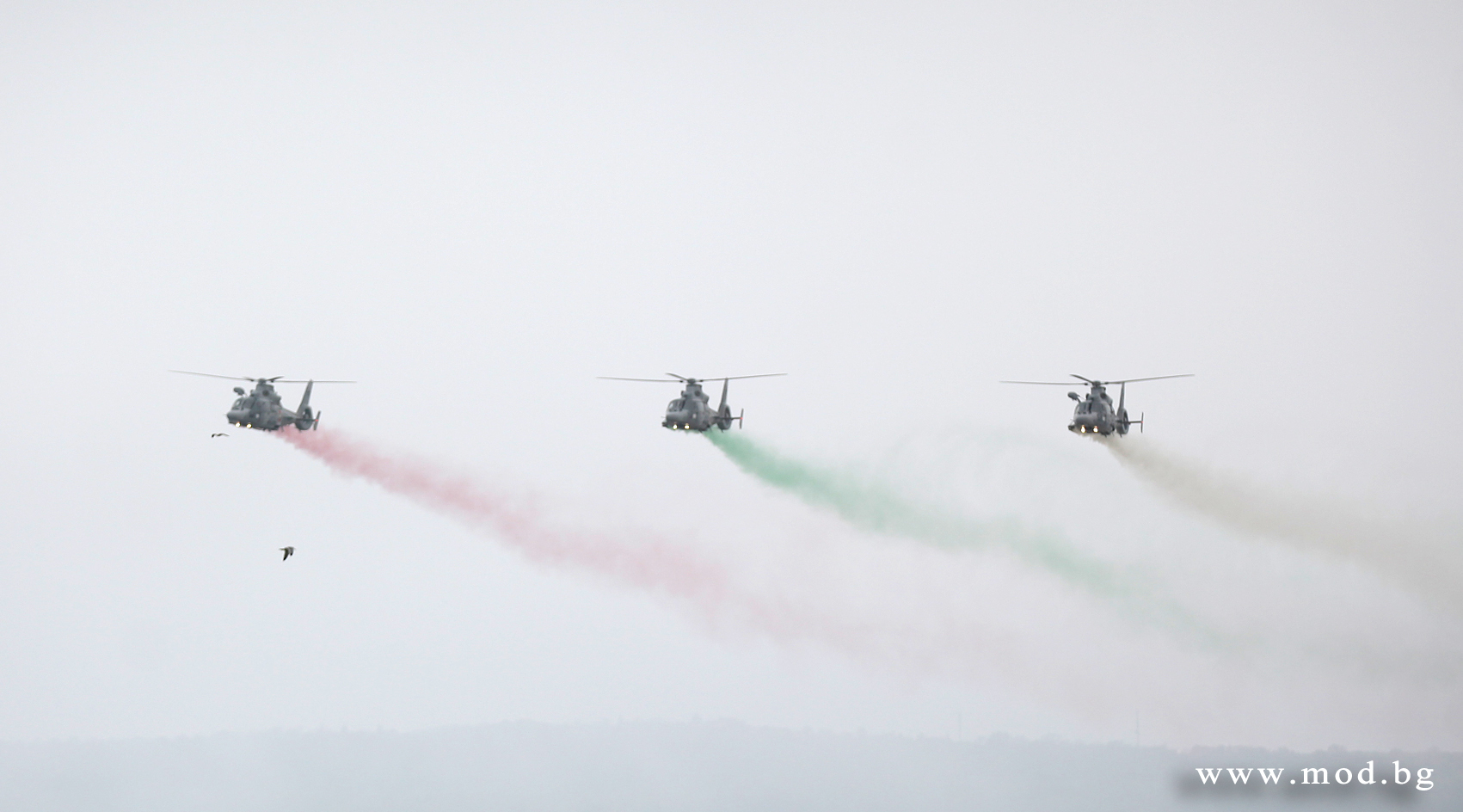 Страхотно шоу за 100 г. Военноморска авиация (СНИМКИ)