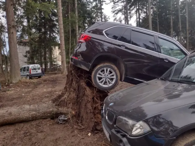 Силният вятър прекърши борове в курорта Боровец! Задействана е и системата BG-ALERT СНИМКИ | ФАКТИ.БГ Силният вятър прекърши борове в курорта Боровец! Задействана е и системата BG-ALERT СНИМКИ