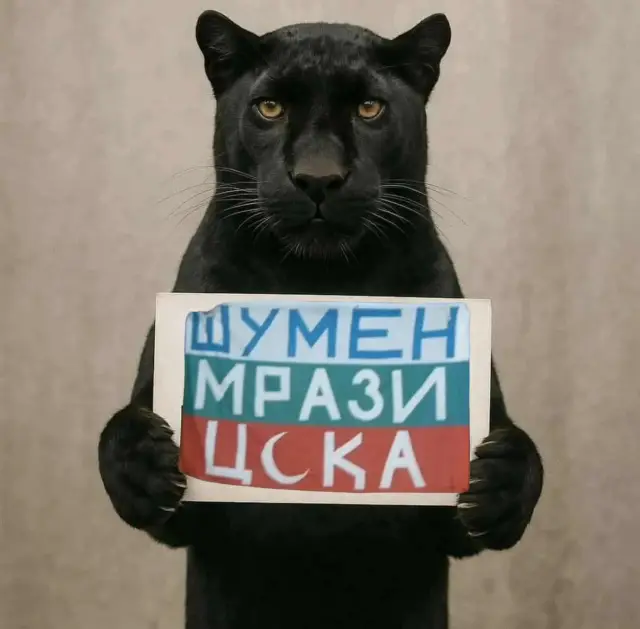 Черната пантера от Шумен въодушеви десетки колажи и мемета (СНИМКИ)