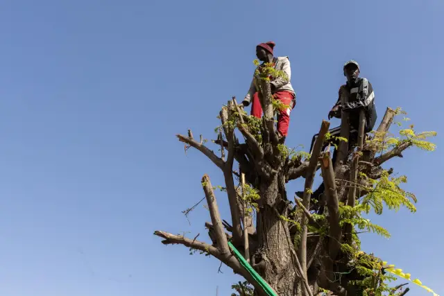 Сенегалските национали получиха по 1,5 декара земя за награда