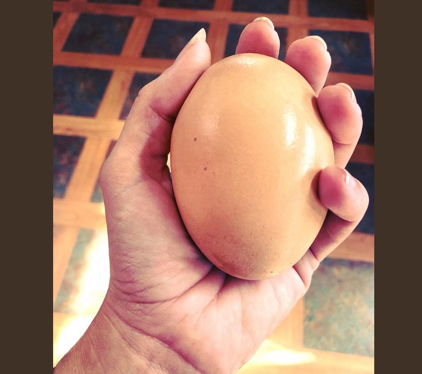 Фермер намери огромно кокоше яйце, в което имаше нещо много странно (ВИДЕО)