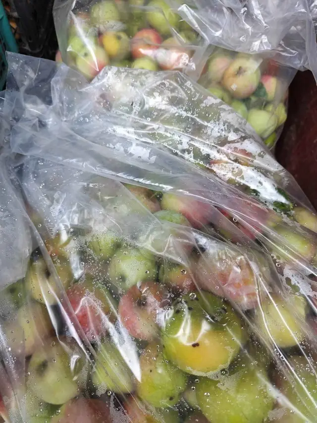  15 чиновници на НКЖИ крали плодове от частна ябълкова градина до железопътната линия 