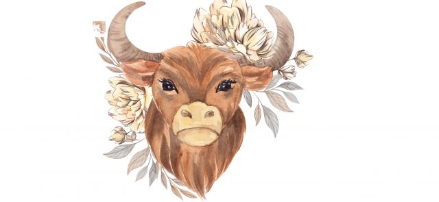  Кои зодии са правилни до гроб 