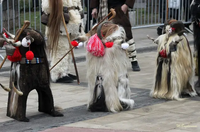 Над 13 000 участници в тазгодишното издание на „Сурва 2026“ (ВИДЕО+СНИМКИ)