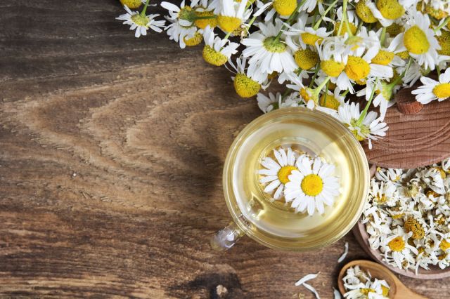 Лечебните свойства на лайката | ФАКТИ.БГ Лечебните свойства на лайката