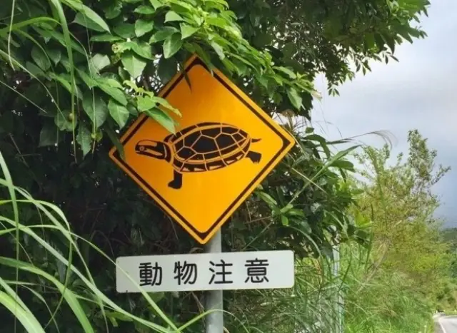 Защо в Япония се слагат пътни знаци с котки