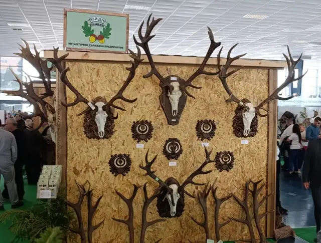 Ловният туризъм носи на България 12 милиона лв. годишно (ВИДЕО+СНИМКИ)