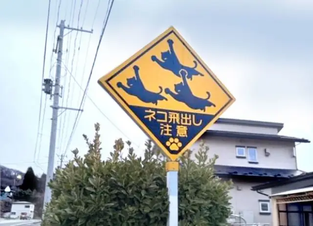 Защо в Япония се слагат пътни знаци с котки