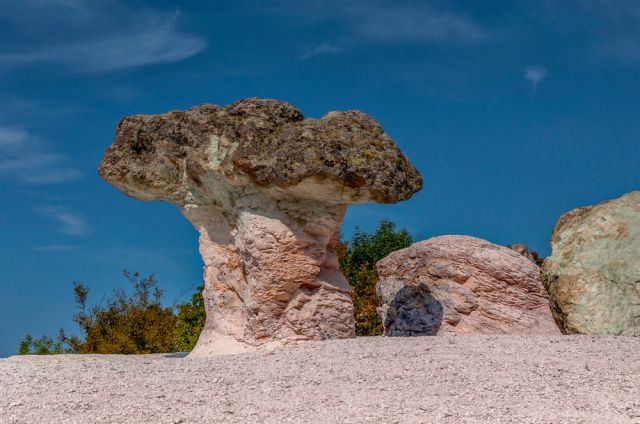 Чудесата на природата: Каменните гъби (СНИМКИ)