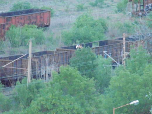 Опасната мода с екстремните селфита продължава
