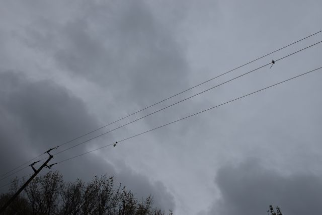 ЕРМ Запад организира изрисуване на блок в град Белене