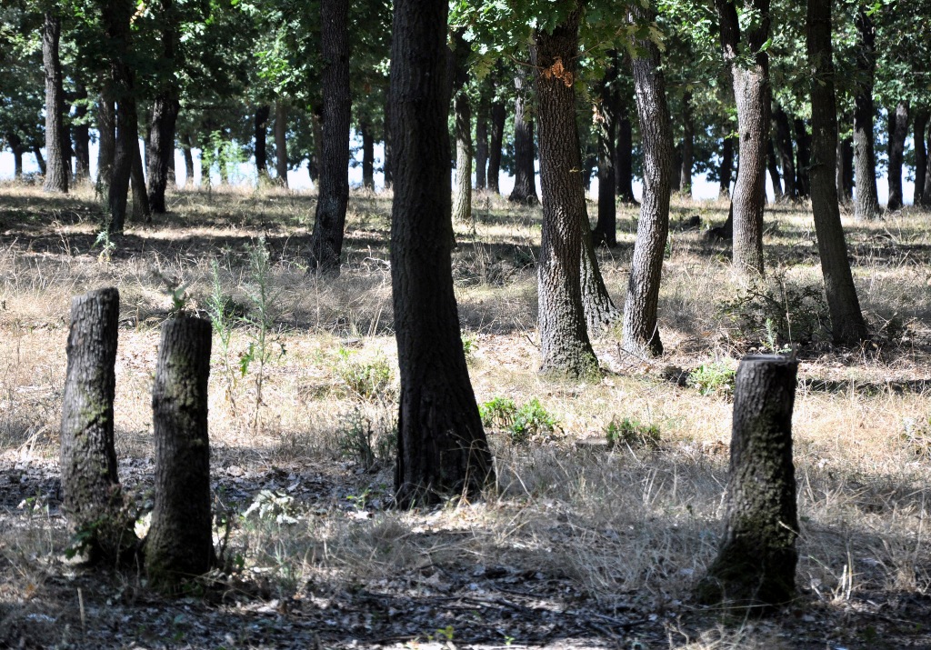 22 юли: България в снимки