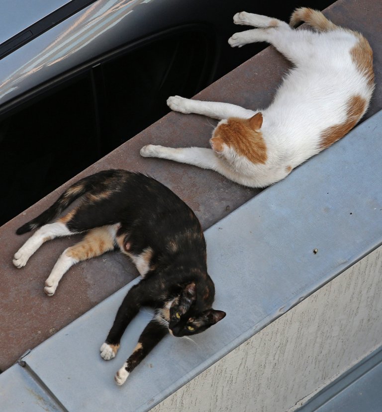 22 юли: България в снимки