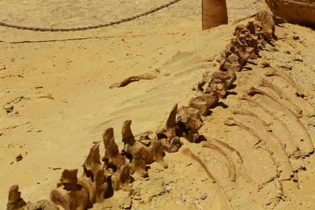  Най-добре защитаваната загадка на Египет от туристите (ВИДЕО+СНИМКИ) 