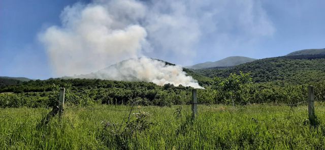 Пожар над пазарджишкото село Црънча (СНИМКИ)