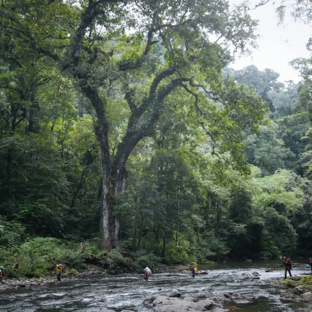 На път за САЩ: Джунглата между Колумбия и Панама се превръща в коварна магистрала за мигрантите ВИДЕО