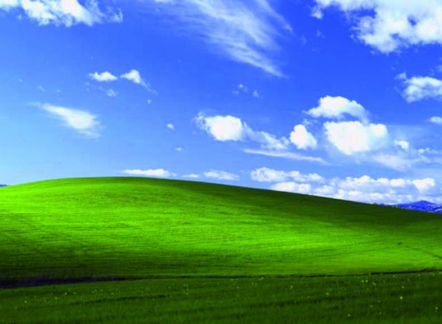 Използва ли се все още Windows XP?